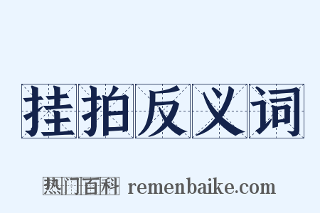 挂拍反义词是什么意思的图片